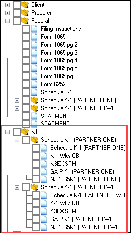 Image of K1 list in View/Print mode